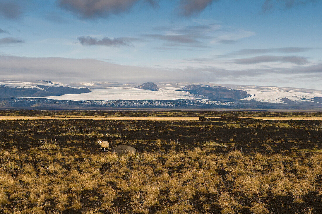 Skaftafell National Park, Iceland, Scandinavia, Europe