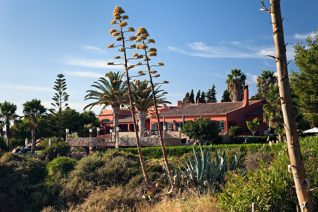 Agaves in front of Vivenda Miranda Hotel, Algarve, Portugal, Europe