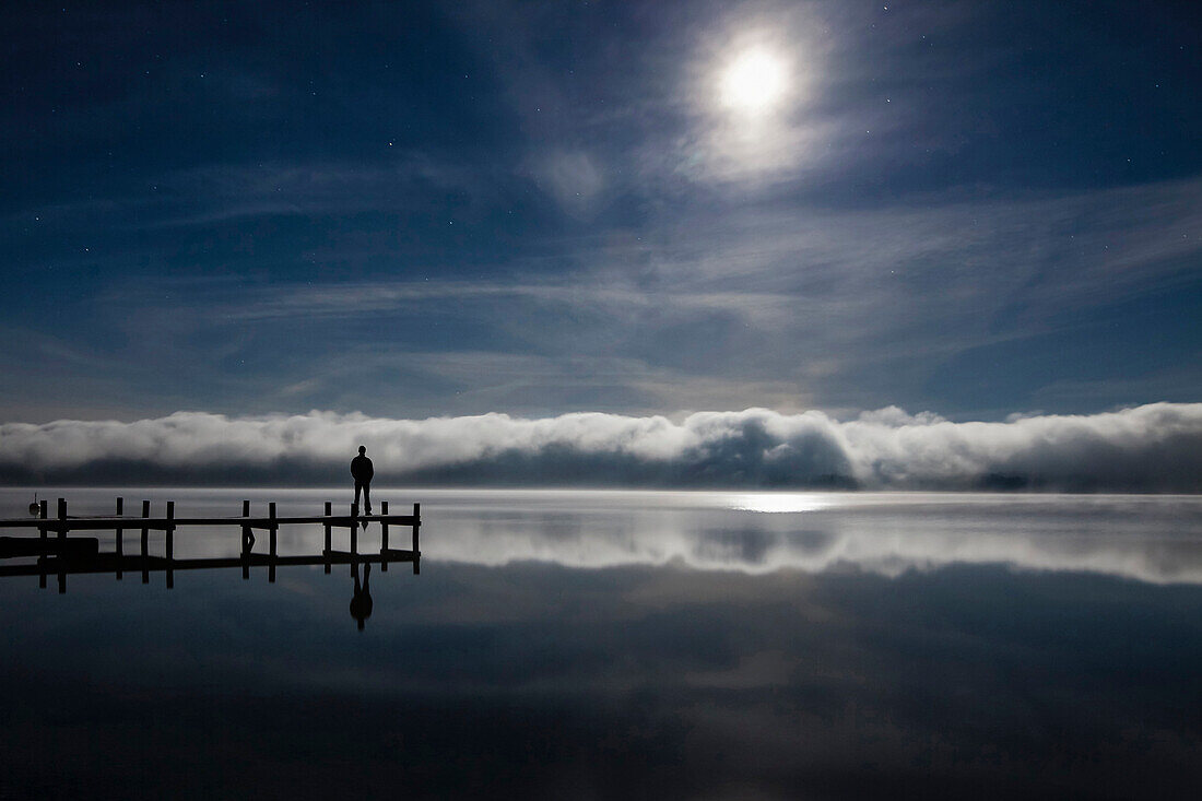 Man looking over Lake Starnberg, Roseninsel in morning mist, Upper Bavaria, Germany