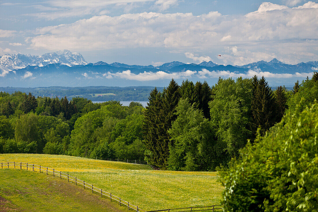 Wald am Ostufer des Starnberger Sees im Frühling, Alpen mit Zugspitze, Oberbayern, Bayern, Deutschland, Europa