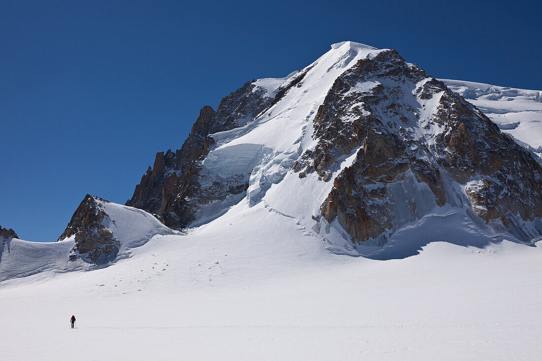 Ski touring below Mont Blanc du Tacul, Chamonix Mont Blanc, France, Europe