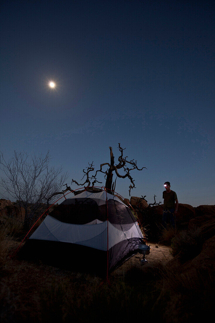Zelt bei Mondschein, Mann mit Stirnlampe im Joshua Tree Nationalpark, Riverside County, Kalifornien, USA, Amerika