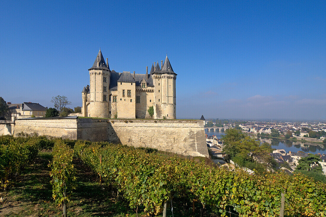 Saumur castle with Loire valley, Saumur, Maine-et-Loire, France, Europe