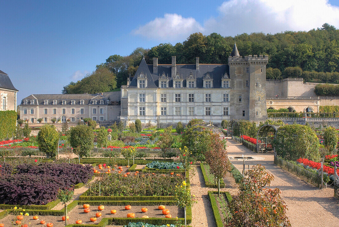 Château Villandry mit Gartenanlage, Villandry, Indre-et-Loire, Frankreich, Europa