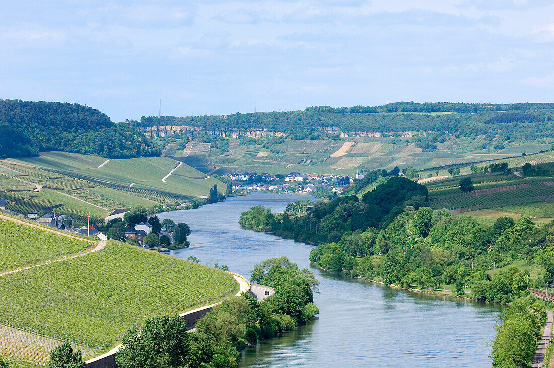 Moselle river between Nittel and Wincheringen, Wincheringen, Rhineland-Palatinate, Germany, Europe