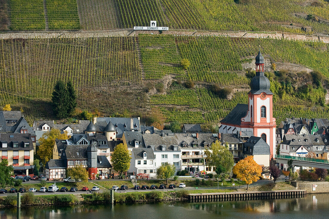 Zell with vineyard Schwarzer Katz, Zell, Rhineland-Palatinate, Germany, Europe