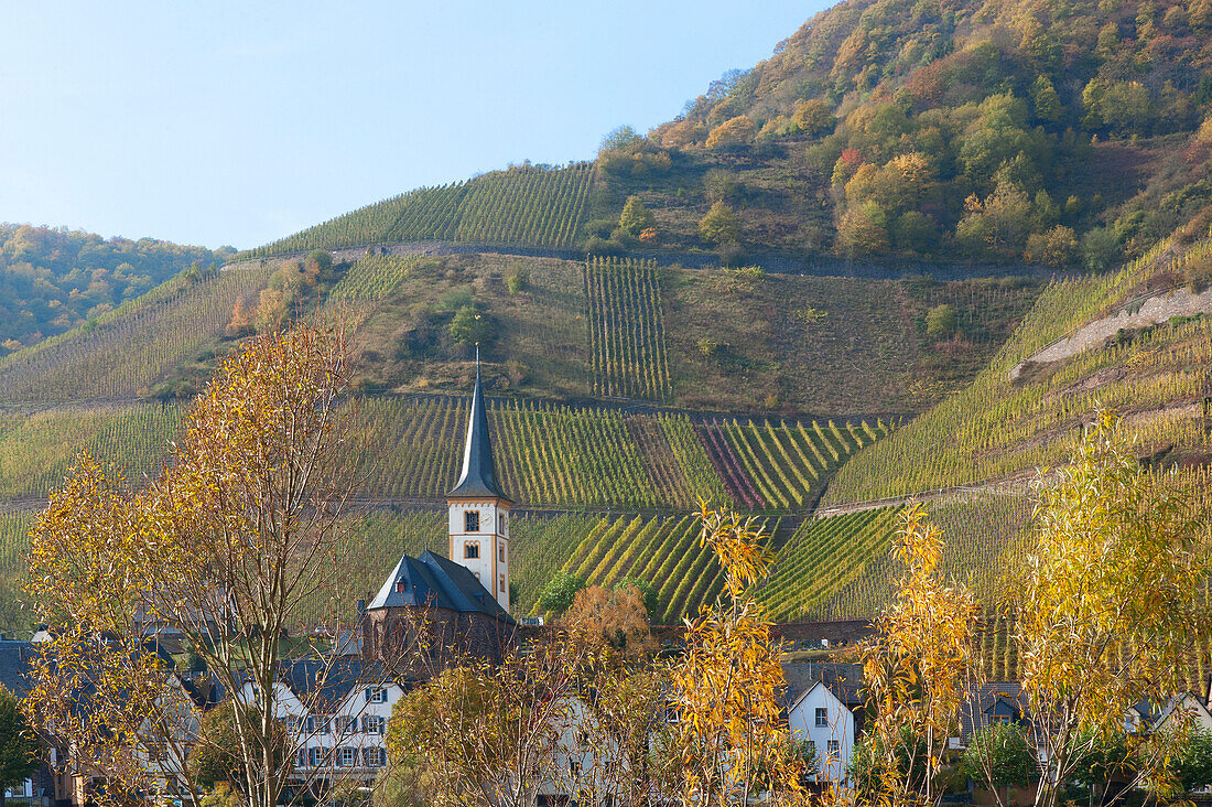 Das Dorf Bremm mit Calmont im Herbst, Bremm, Rheinland-Pfalz, Deutschland, Europa