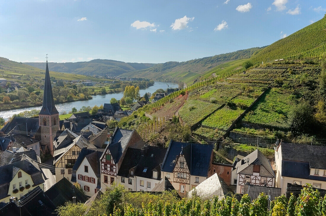 Spitzhäuschen, Blick auf Ürzig und Mosel, Ürzig, Rheinland Pfalz, Deutschland