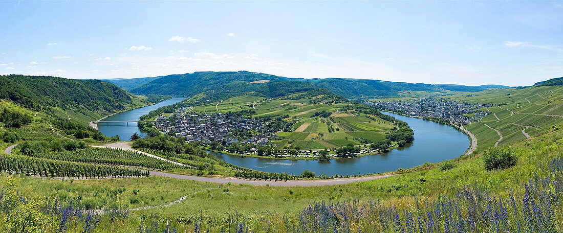 Mosel sinousity at Kroev in spring, Kroev, Rhineland Palatinate, Germany