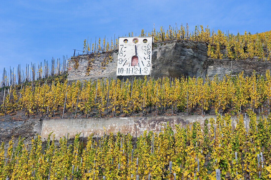 Solar clock in a vineyard at Zeltingen-Rachtig, Zeltingen-Rachtig, Rhineland Palatinate, Germany