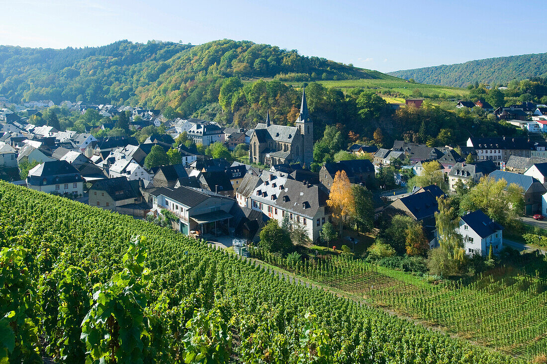 Blick auf Dhron, Neumagen-Dhron, Rheinland Pfalz, Deutschland