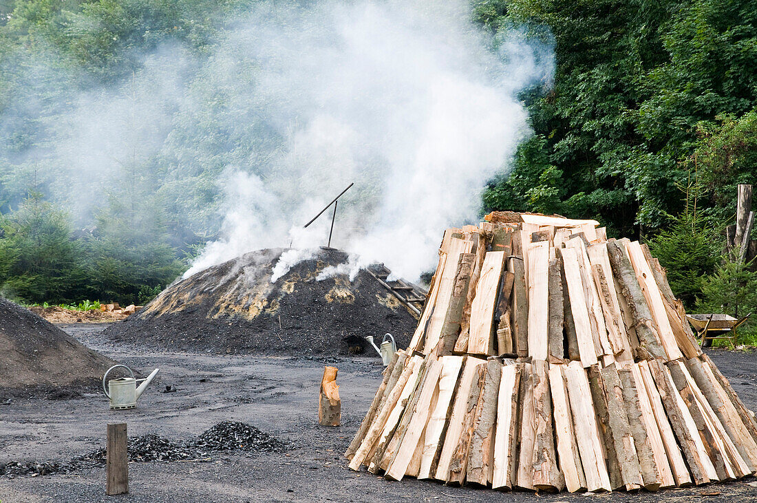 Charcoal burner Stemberghaus, Harz, Saxony-Anhalt, Germany