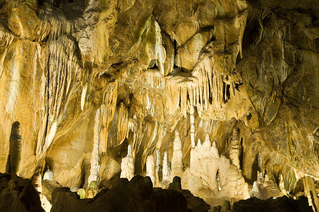 Flowstone cave Baumannshöhle, Rübeland, Harz, Saxony-Anhalt, Germany