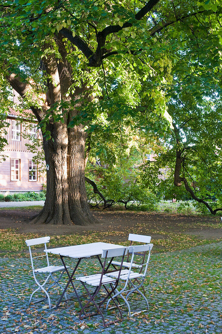 Alter Baum, Tisch und Stühle im Klosterhof, Kloster Drübeck, Drübeck, Harz, Sachsen-Anhalt, Deutschland