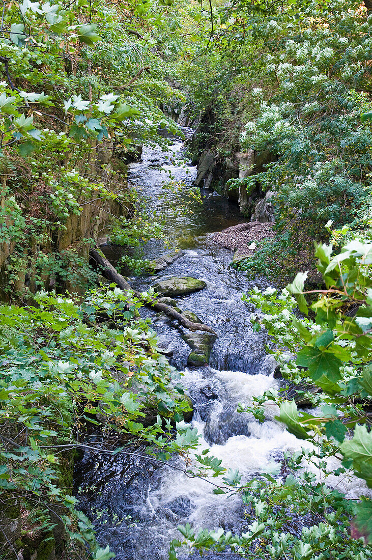 Bodekessel, Bode Valley, Thale, Harz, Saxony-Anhalt, Germany