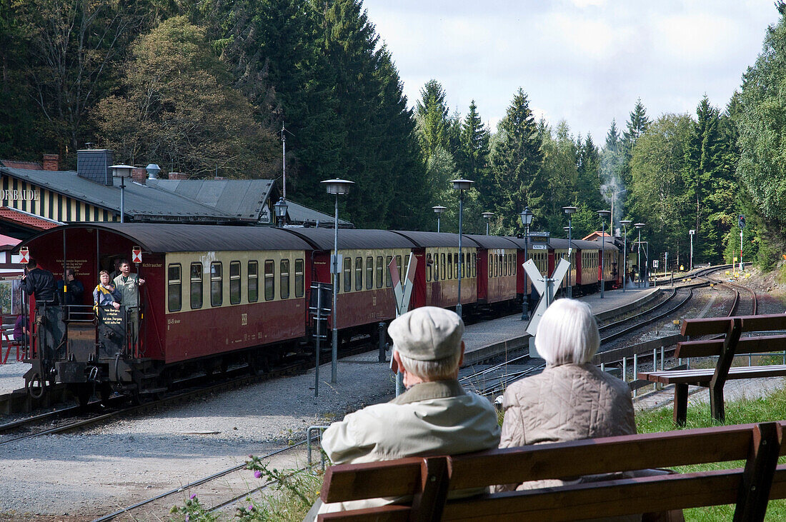 Dampfeisenbahn, Brockenbahn, HSB Harzer Schmalspurbahnen, Bahnhof Schierke, Harz, Sachsen-Anhalt, Deutschland