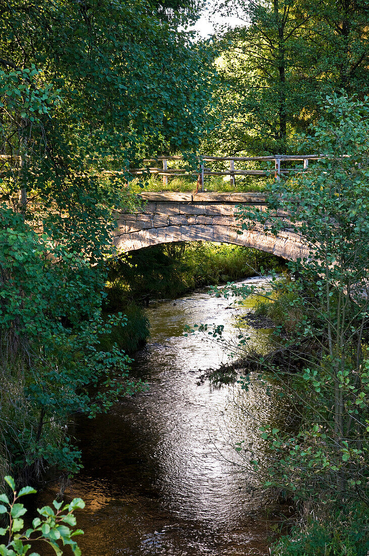 River, bridge, nature reserve Green Belt, Harz, Saxony-Anhalt, Germany