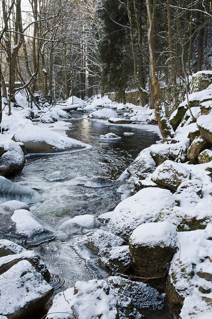 Fluss Kalte Bode im Winter, Schierke, Harz, Sachsen-Anhalt, Deutschland