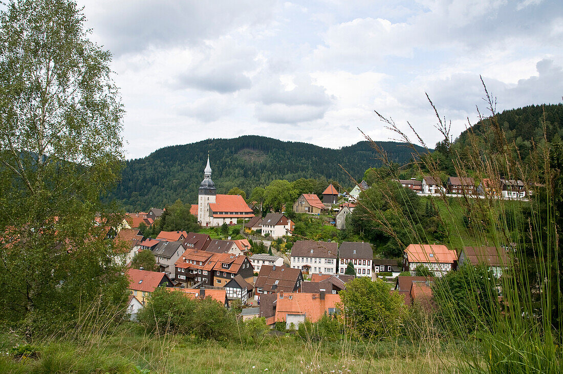 Blick auf die Kirche mit Häuser im Tal, Lautental, Harz, Niedersachsen, Deutschland