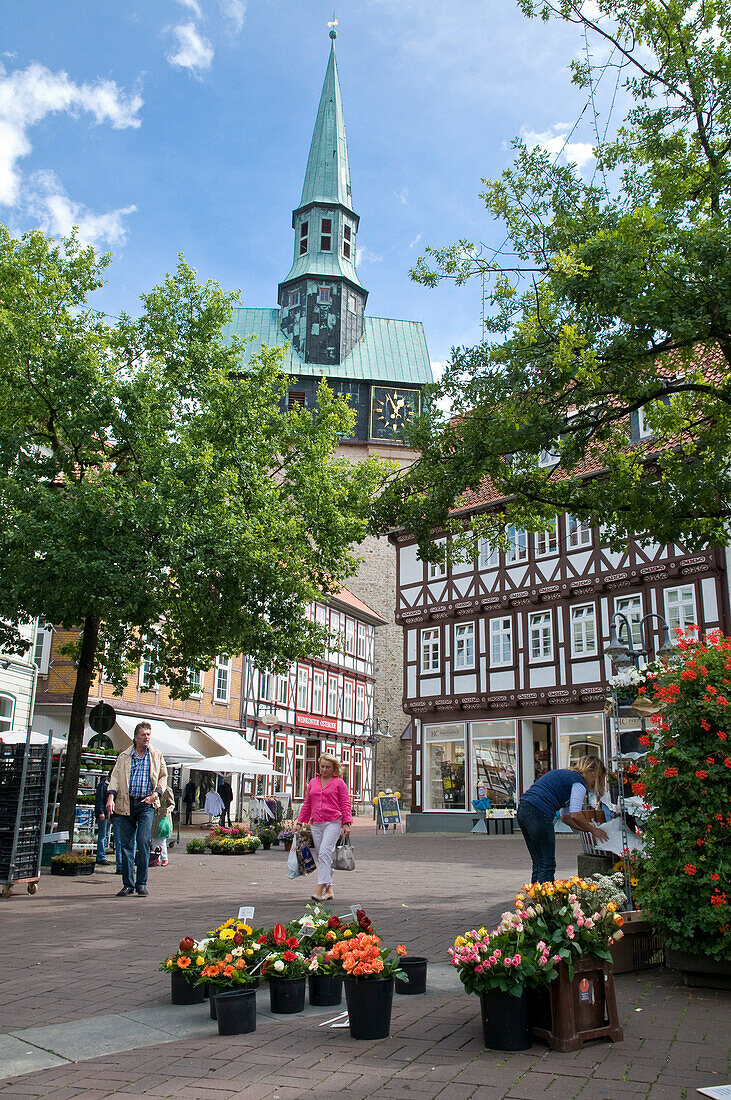 Blumenstand am Marktplatz, St Aegidienkirche, Fachwerk, Altstadt, Osterode am Harz, Harz, Niedersachsen, Deutschland