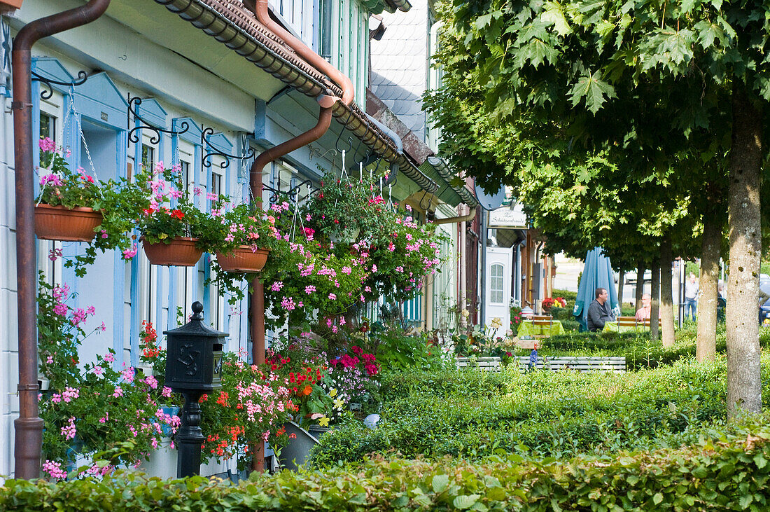 Row of houses with potted plants, Andreasberg, Harz, Lower Saxony, Germany