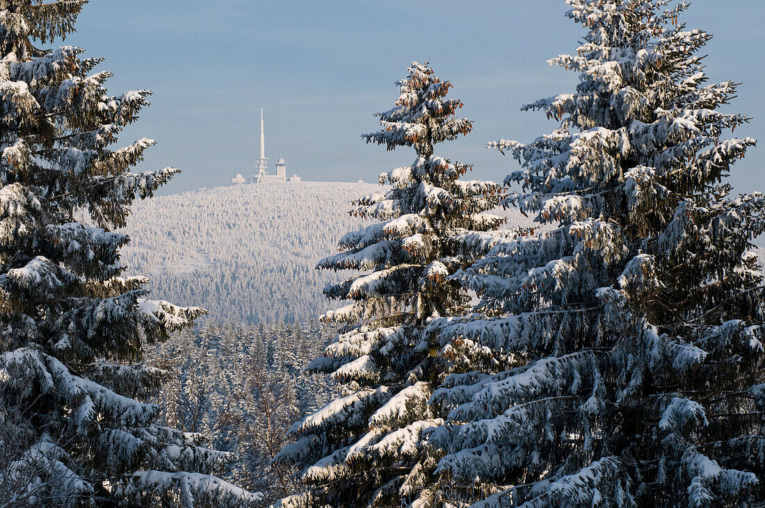 Brocken, verschneite Tannen von Torfhaus, Torfhaus, Altenau, Harz, Niedersachsen, Deutschland