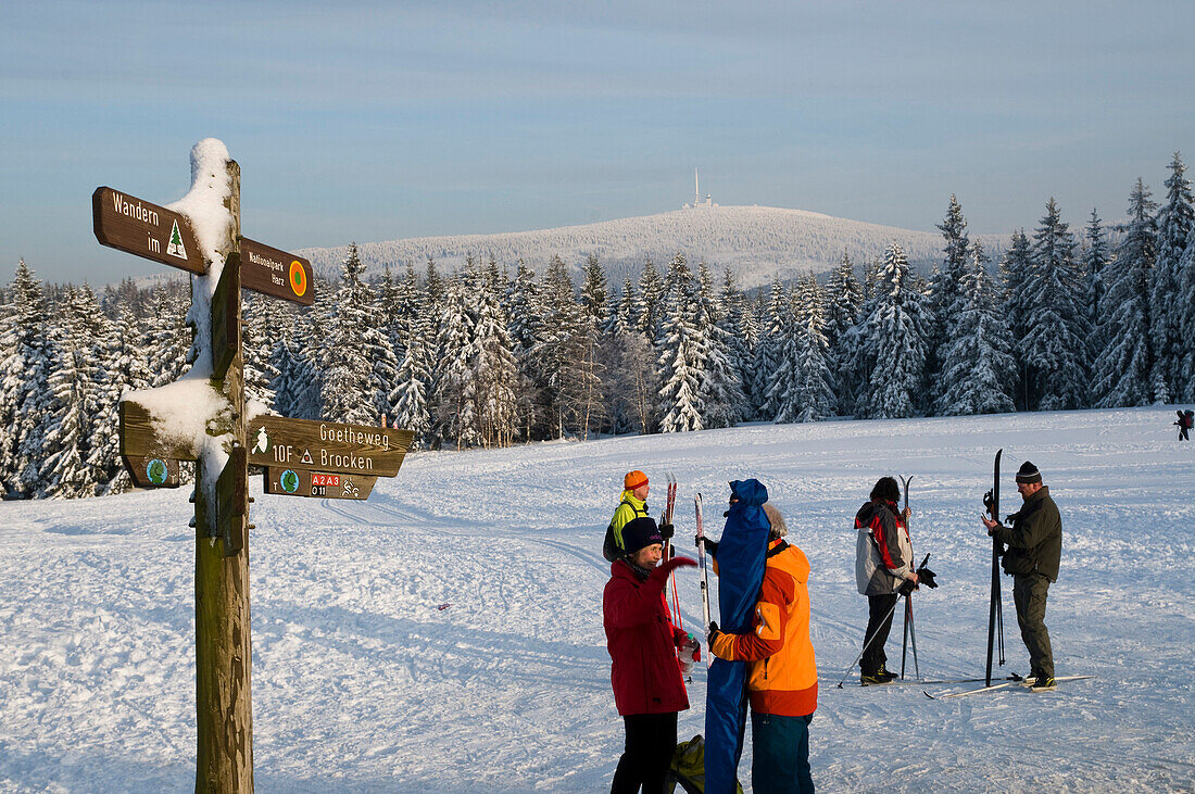 Cross country skiers, snowy forest, Brocken mountain in the background, Torfhaus, Altenau, Harz, Lower Saxony, Germany