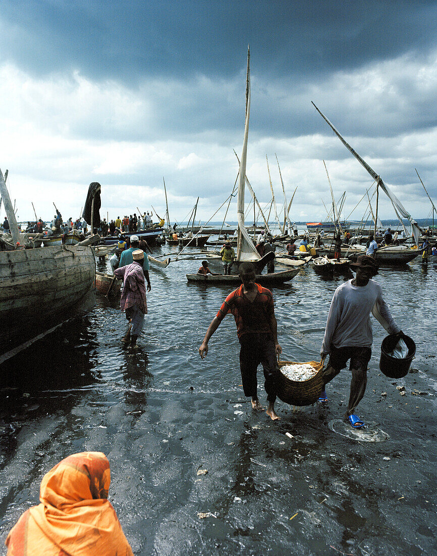 Fischmarkt, am alten Dhow Hafen, Fischerboote werden entladen, Stadtteil Malindi, Zanzibar Town, Sansibar, Tansania, Ostafrika
