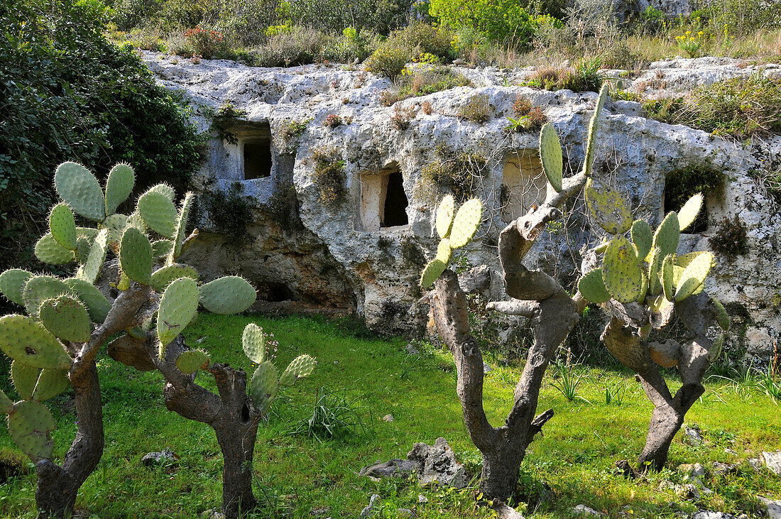 Necropoli Pantalica, Unesco World Cultural Heritage, Sicily, Italy
