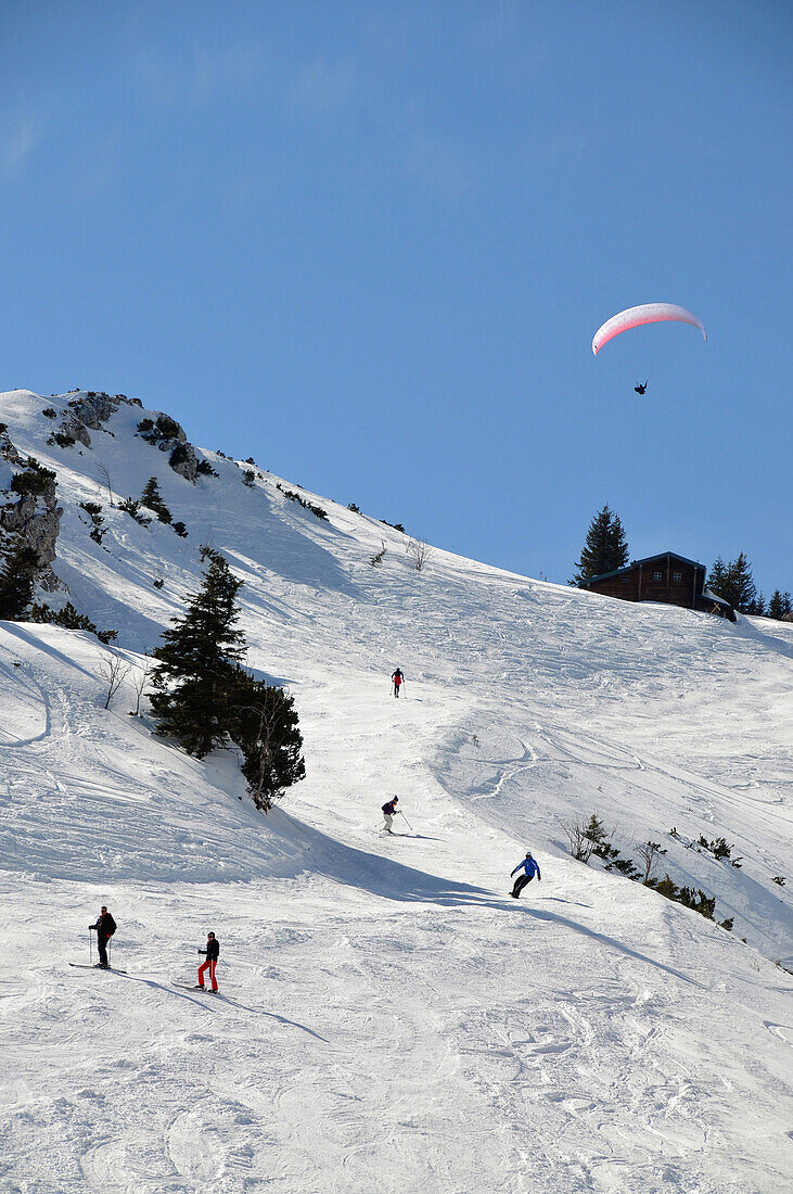 At the Idealhang in Skiarea Brauneck near Lenggries, Bad Toelz, Upper Bavaria, Bavaria, Germany