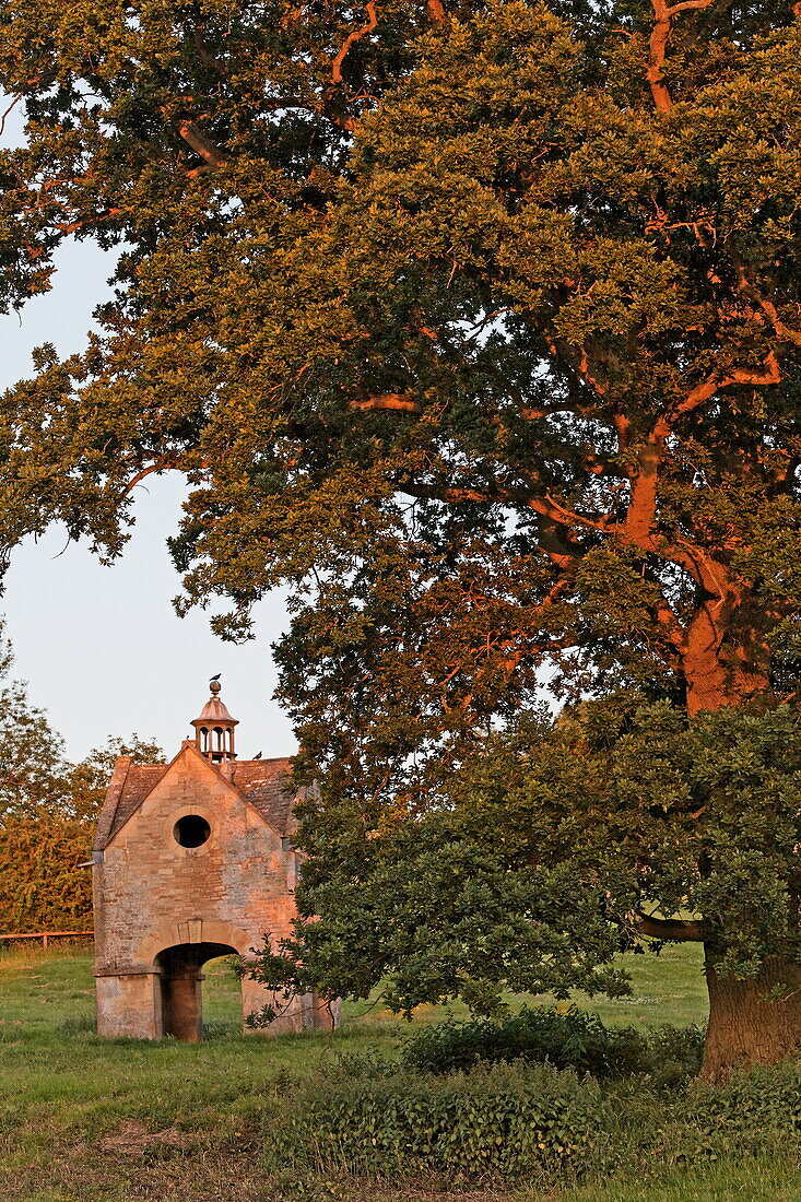 Taubenhaus und alte Eiche im Garten des Chastleton House bei Sonnenuntergang, Gloucestershire, Cotswolds, England, Großbritannien, Europa