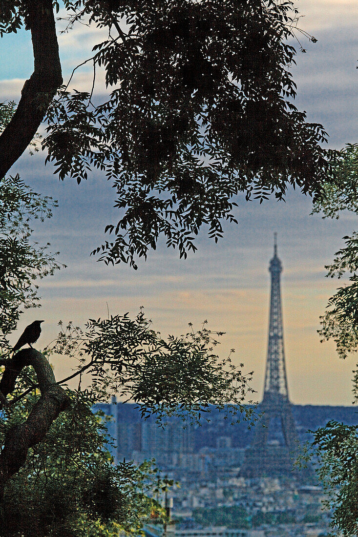 Eiffel tower seen from Montmartre at dusk, Paris, France, Europe