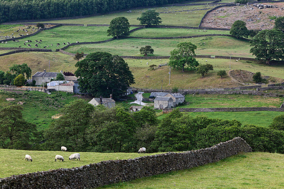 Hartlington, Yorkshire Dales National Park, Yorkshire Dales, Yorkshire, England, Great Britain, Europe