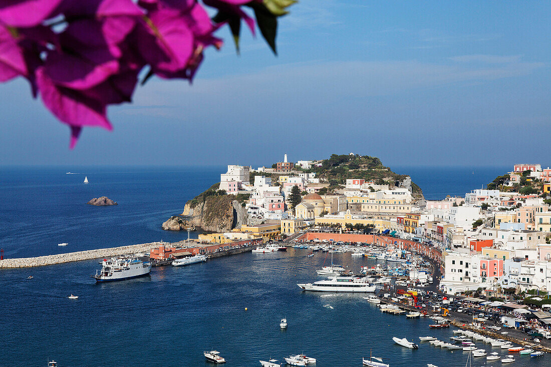 Blick auf den Hafen und die Stadt Ponza, Insel Ponza, Pontinische Inseln, Latium, Italien, Europa