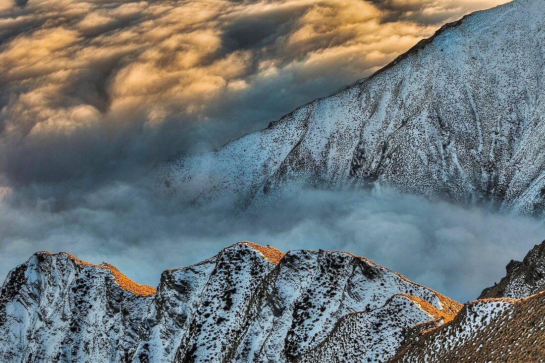 Tussock covered ridge at dawn, partly covered by winter snow, above sea of cloud over Lake Wanaka, Central Otago, Southern Alps, New Zealand
