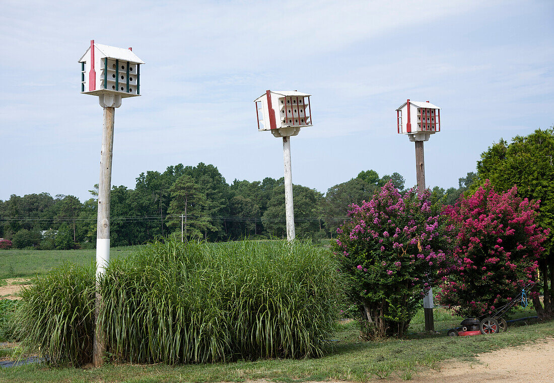Three Birdhouses, Patuxent River, Maryland, USA