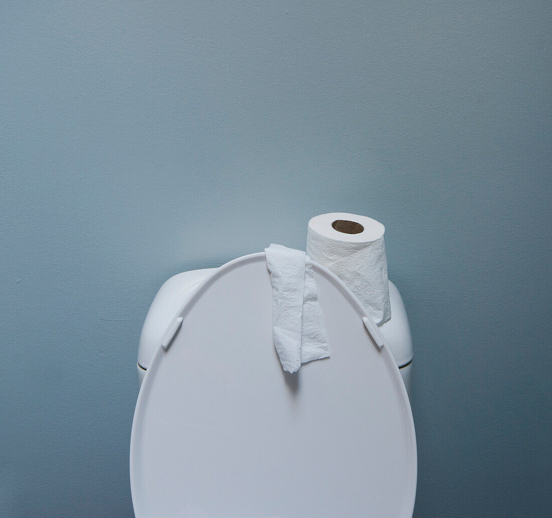 Roll of Paper on a Toilet, Vancouver, British Columbia, Canada
