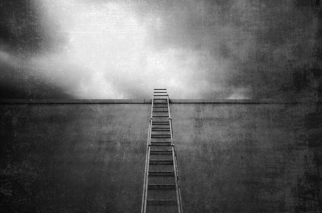 Ladder Going Up a Tall Wall, Vancouver, British Columbia, Canada