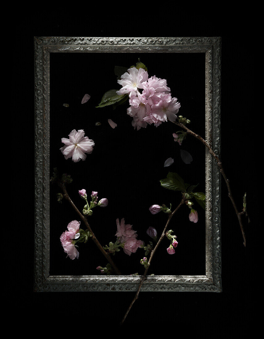 Frame and Flowers
