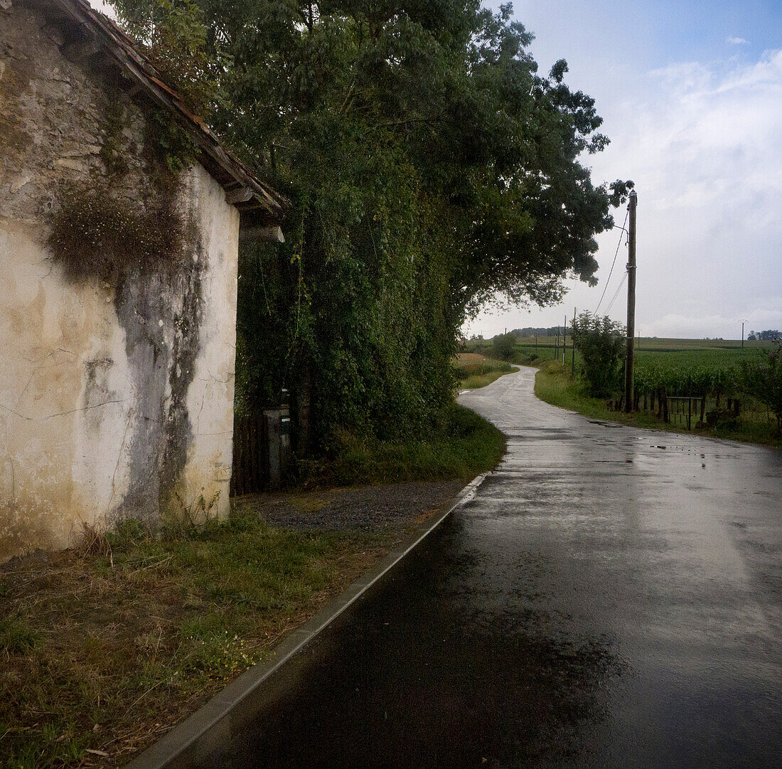 Rural House and Road in Rain, Arancou, Pays Basque, France