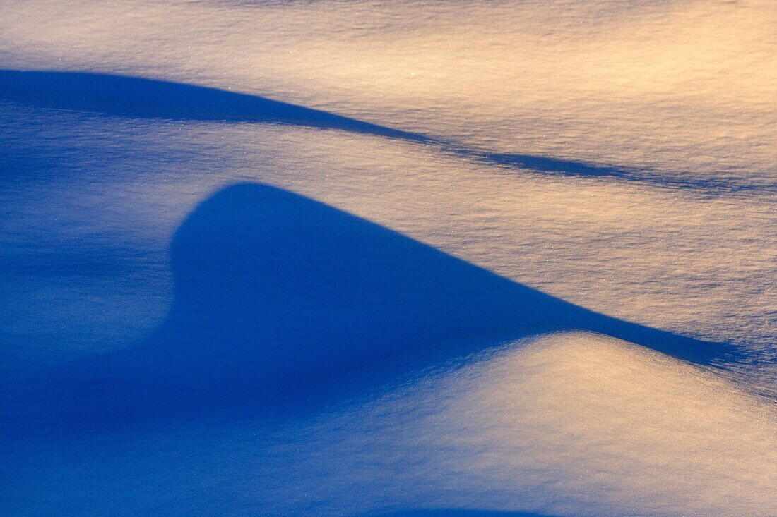 Late evening shadows on snow