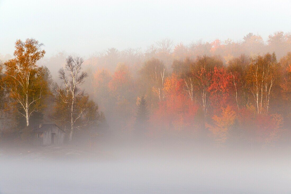 Morning fog on Bass Lake Greater Sudbury Ontario