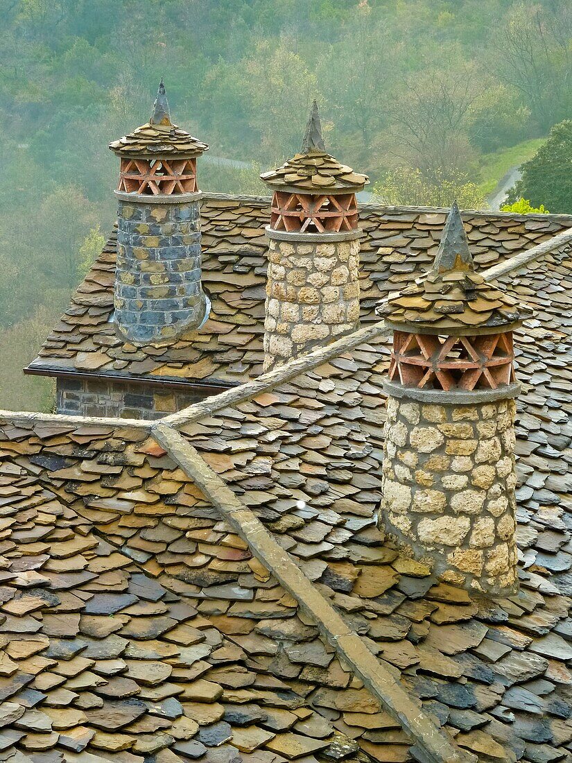 Modern Chimneys following traditional Pyrenean styles
