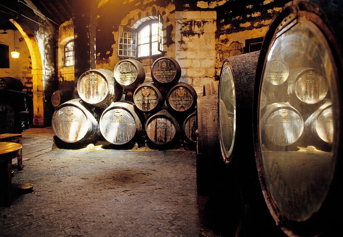 Domecq wine cellars, Jerez de la Frontera, Cadiz province, Andalusia, Spain