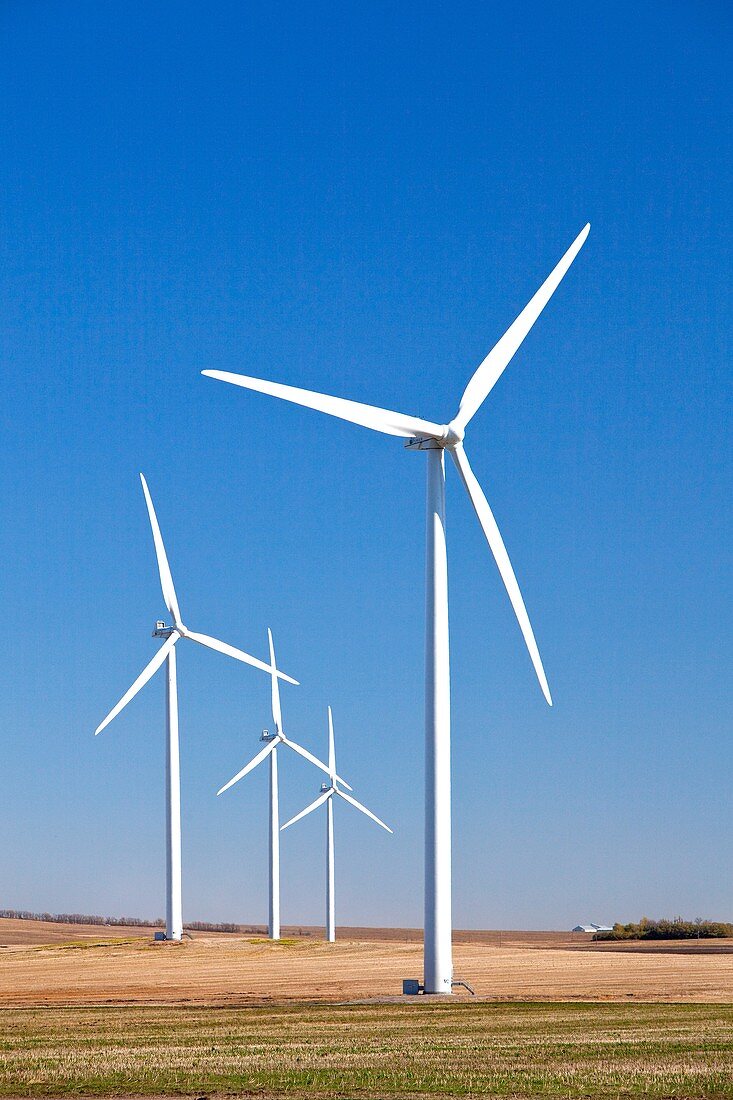 Windmills on the prairie at the windfarm near St  Leon, Manitoba, Canada