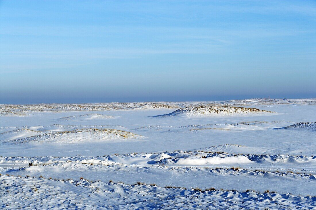 Snow covered landscape with sanddunes and the Northsea at the horizon, Sylt Island, Schleswig-Holstein, Germany, Europe