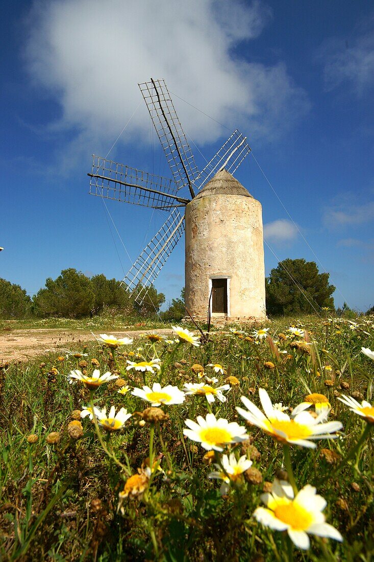 Moli Vell de la Mola 1778 El Pilar de la Mola Formentera Balearische Inseln Spanien Pitiusas