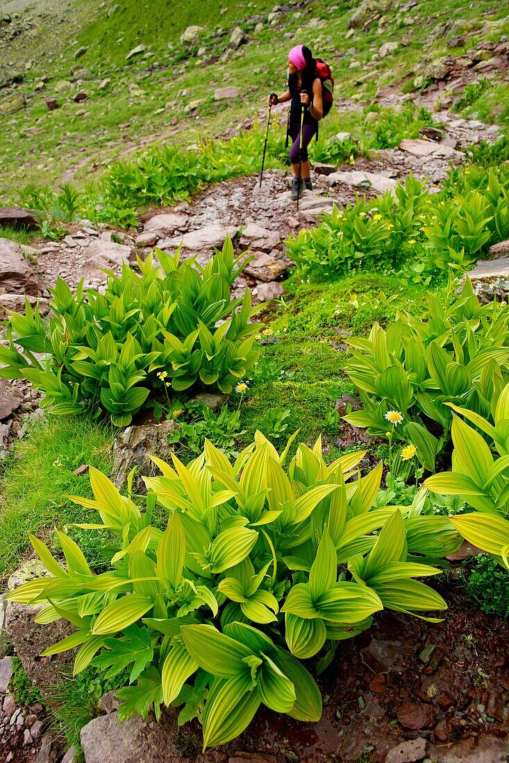 Canal Roya hiking Anayet Huesca Pyrenees Pyrenees Mountains Spain