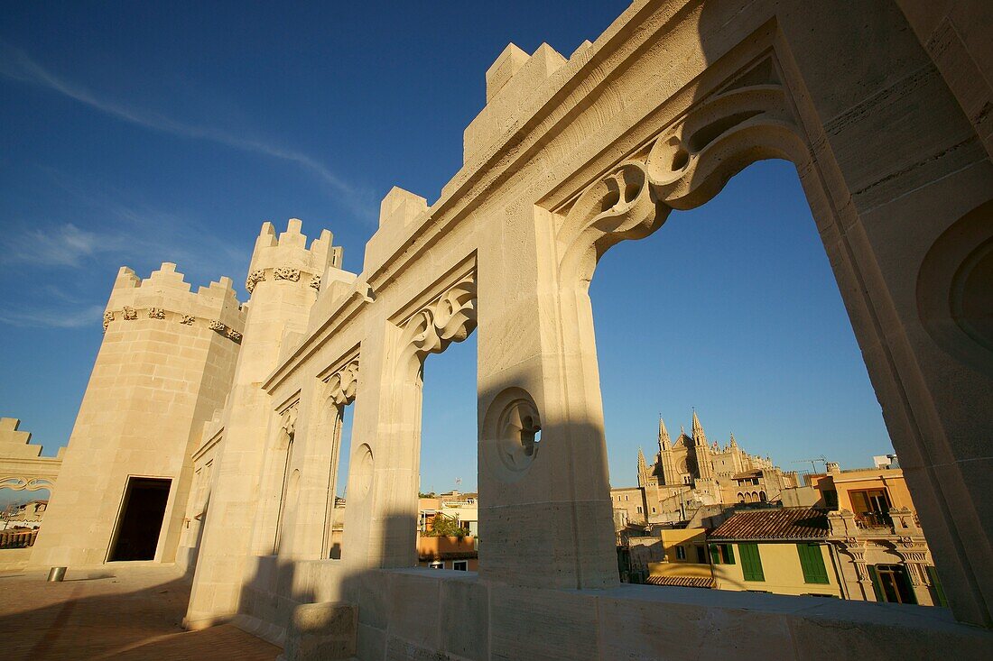 La Seu, Kathedrale von Mallorca, von der Versteigerung, Die Llotja, XV Jahrhundert, Palma Mallorca Balearische Inseln Spanien