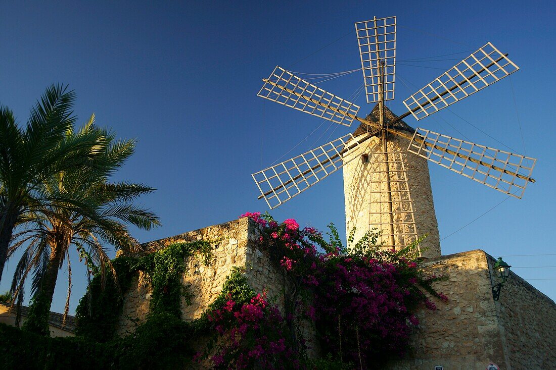 Moli de Pau Sineu Mallorca Es Pla Illes Balears Spanien